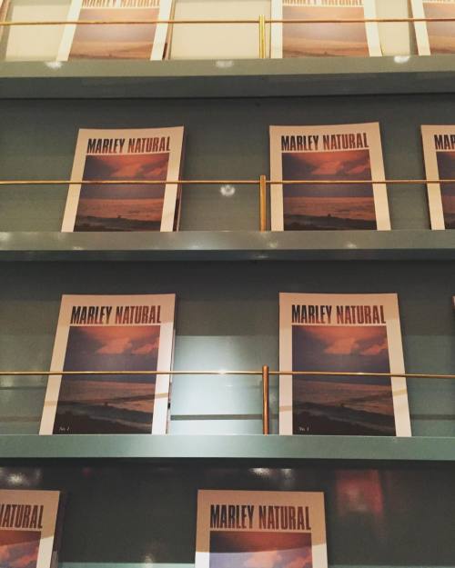 #Aboutlastnight I the vibes were high at the launch of The Grinder @marleynatural, hosted by Zuri Marley โ๐พ๏ธ #marleynatural #entrepreneurship #marijuana #cannabis #onelove