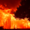 Wildfires